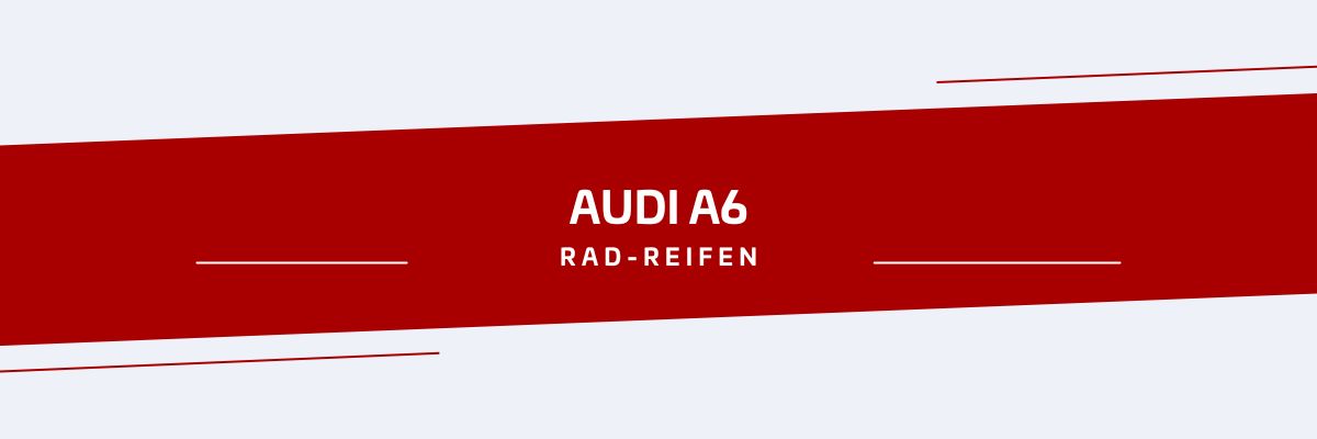 ratgeber-automarken-rad-reifen-kombination-audi-a6