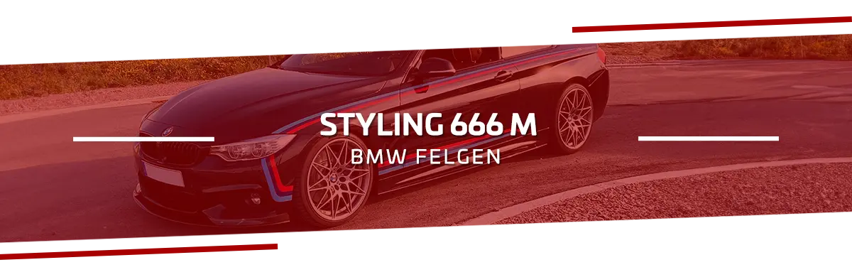 BMW Felgen Sternspeiche Styling 666 M