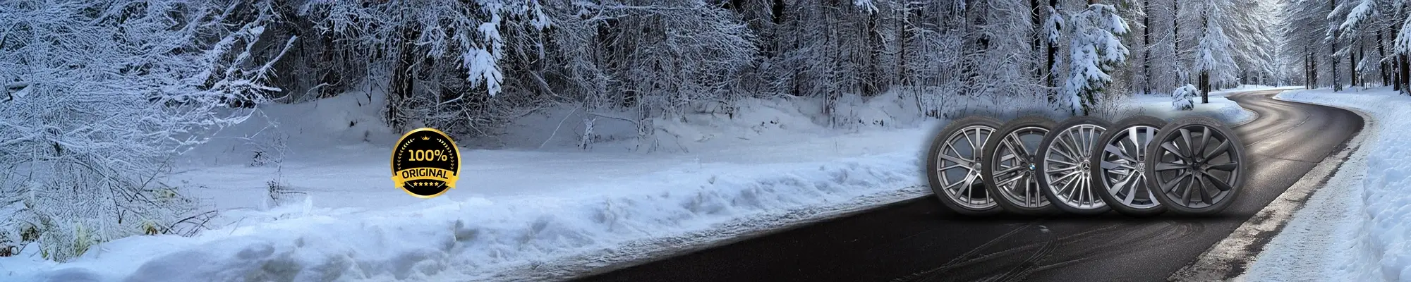 Winter landscape with original Audi, BMW, Mercedes, VW, and Tesla rims