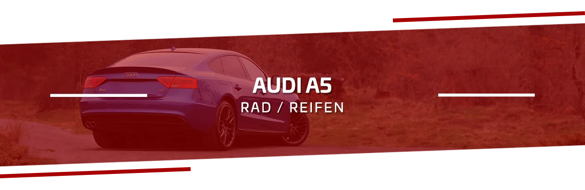 Rad-Reifenkombinationen Audi A5