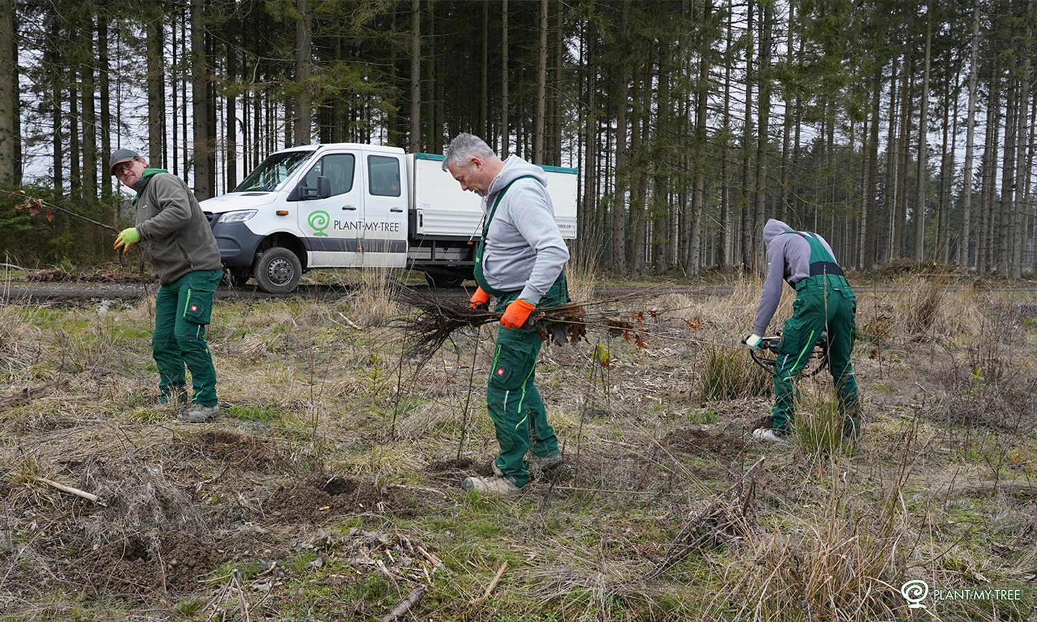 Plant My Tree - Afbeelding 2